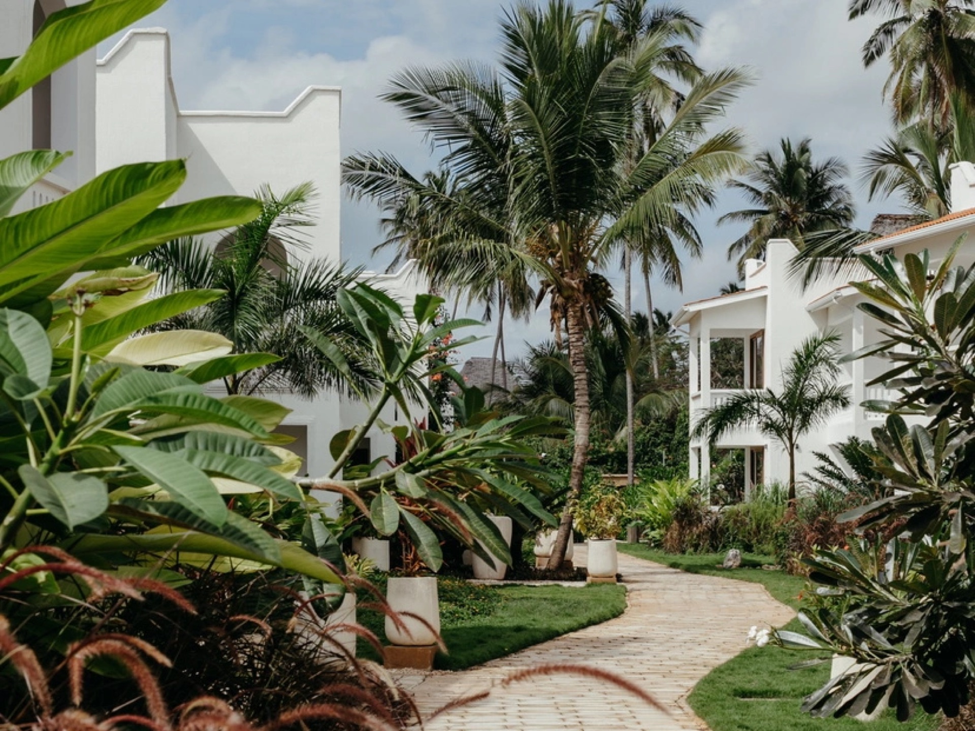 A garden path between whitewashed villas under coconut palms at a beachfront hotel on the Zanzibar coast