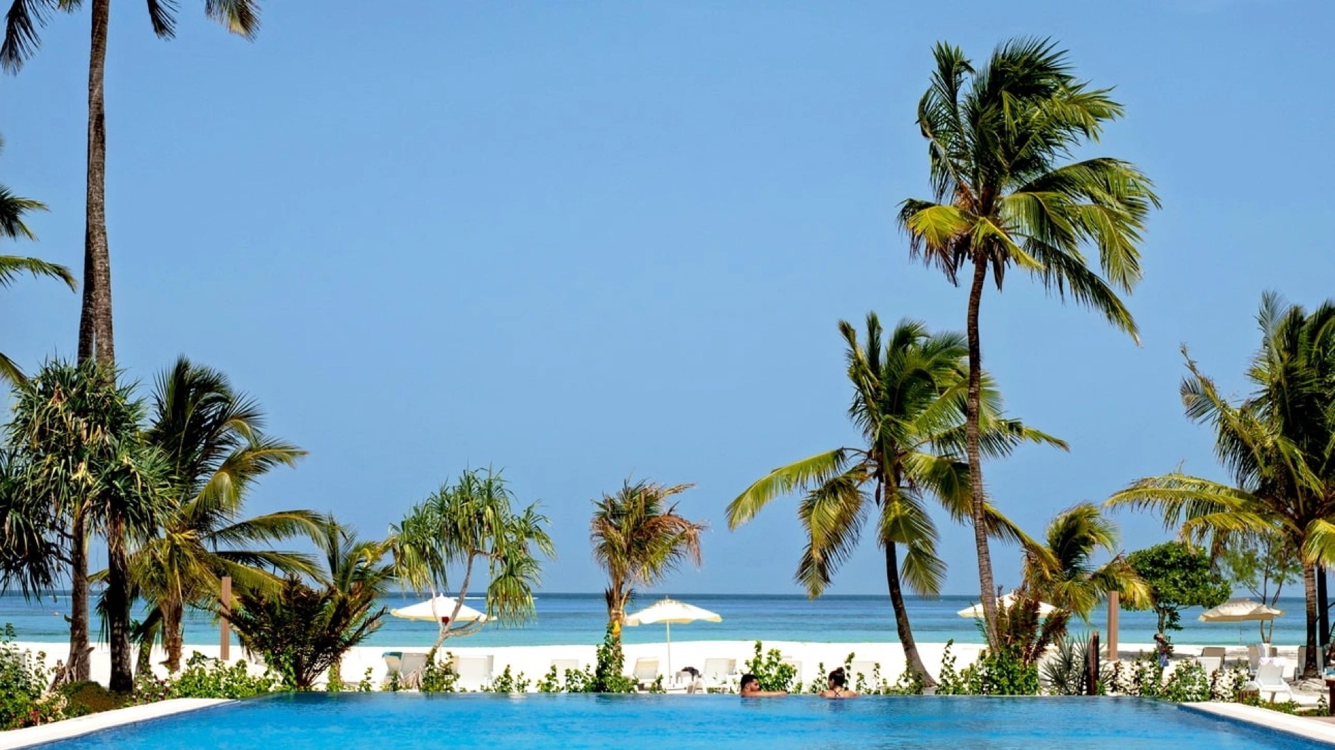 A swimming pool overlooking the beach at a resort in Zanzibar